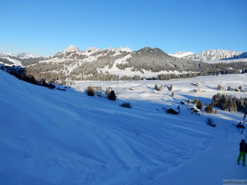 20170119-mosses-leysin-5882.jpg