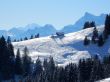 Dateiname=20170119-mosses-leysin-5597.jpg
Dateigröße=569KB
Abmessungen: 1500x1125
hinzugefügt am: 10. Februar 2021 20170119-mosses-leysin-5597.jpg