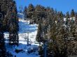 Dateiname=20170119-mosses-leysin-5726.jpg
Dateigröße=913KB
Abmessungen: 1500x1125
hinzugefügt am: 10. Februar 2021 20170119-mosses-leysin-5726.jpg