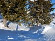 Dateiname=20170119-mosses-leysin-5844.jpg
Dateigröße=852KB
Abmessungen: 1500x1125
hinzugefügt am: 10. Februar 2021 20170119-mosses-leysin-5844.jpg