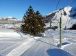 Dateiname=20170119-mosses-leysin-5845.jpg
Dateigröße=664KB
Abmessungen: 1500x1125
hinzugefügt am: 10. Februar 2021 20170119-mosses-leysin-5845.jpg