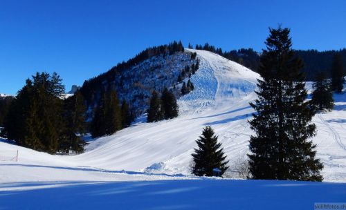 20170124-lespaccots-111.jpg