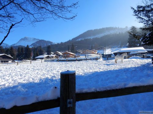 20170124-lespaccots-127.jpg
