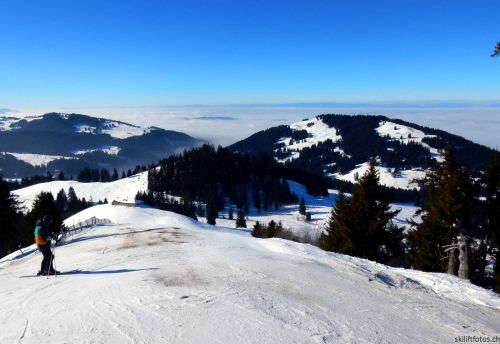 20170124-lespaccots-158.jpg
