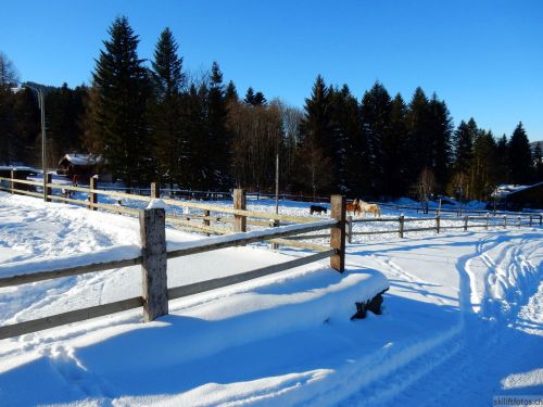 20170124-lespaccots-179.jpg