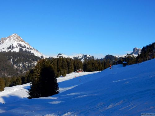20170124-lespaccots-261.jpg