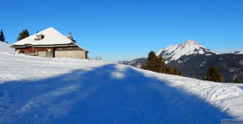 20170124-lespaccots-329.jpg