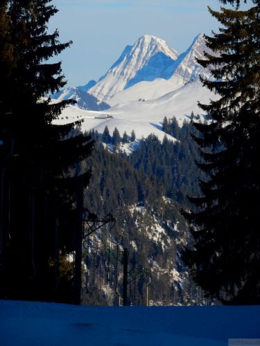 20170124-lespaccots-349.jpg