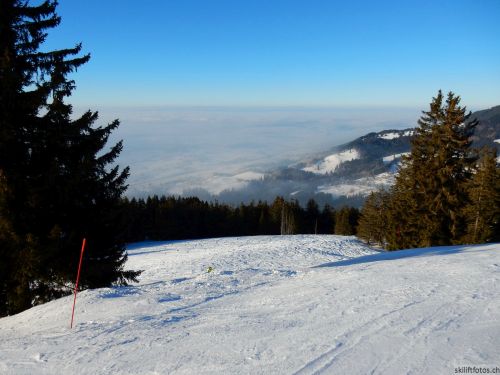 20170124-lespaccots-358.jpg