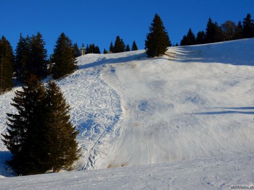 20170124-lespaccots-367.jpg