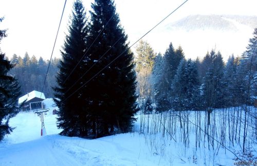 24. Januar 2017
