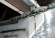20170124-lespaccots-026.jpg