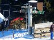20170124-lespaccots-090.jpg
