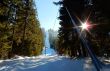 20170124-lespaccots-152.jpg