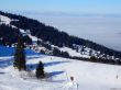 20170124-lespaccots-165.jpg