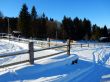 20170124-lespaccots-179.jpg