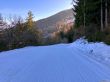 20230318-nax-6544.jpg