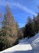 20230318-nax-6650.jpg