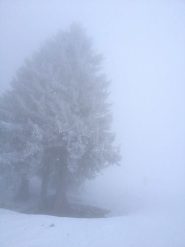 Talabfahrt nach Champéry im dichten Nebel
