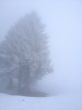 20130221-portes-du-soleil-2033.jpg