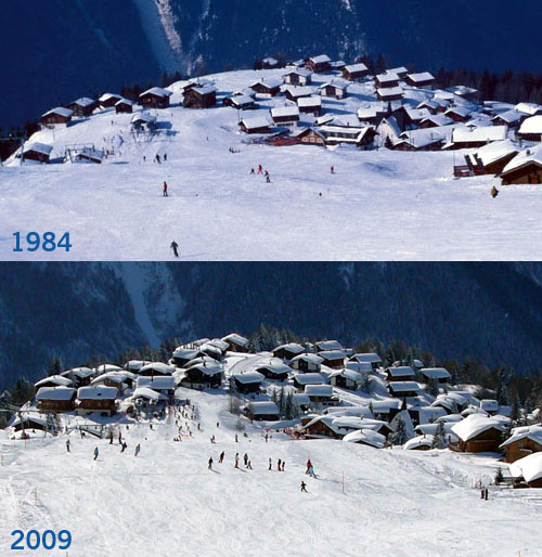 Vergleich Rosswald 1984-2009

