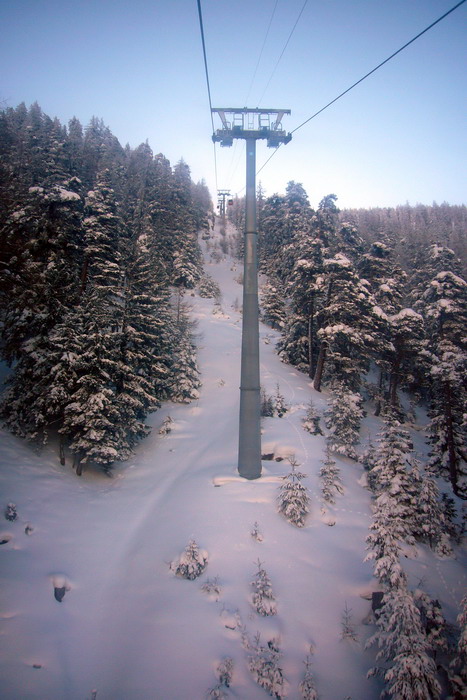 Februar 2009
