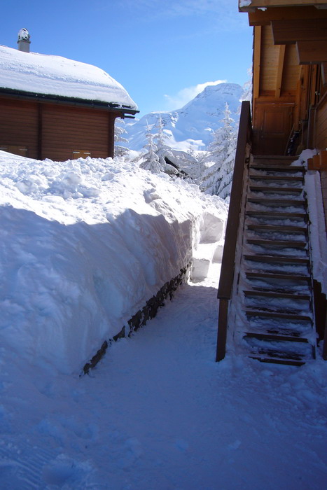 Februar 2009
