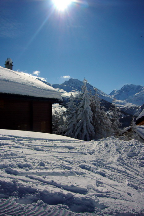 Februar 2009

