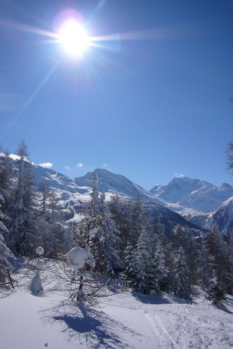 Februar 2009
