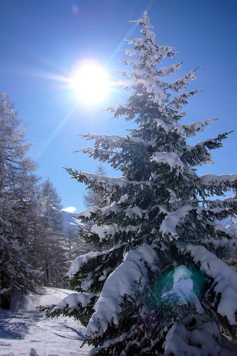Februar 2009
