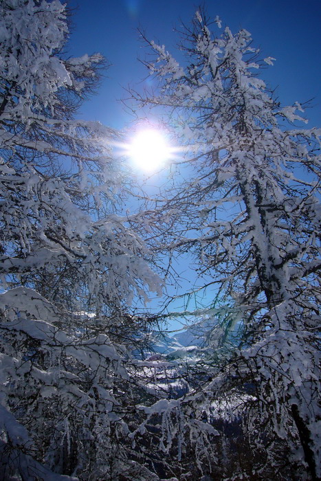 Februar 2009
