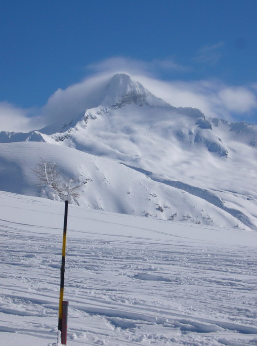 Februar 2009
