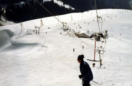 Rosswald, Fleschboden, März 1984
