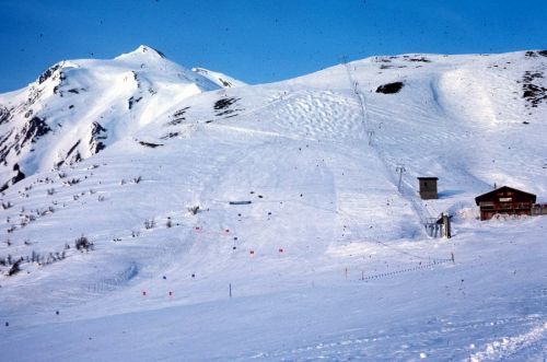Rosswald, Fleschboden, März 1984
