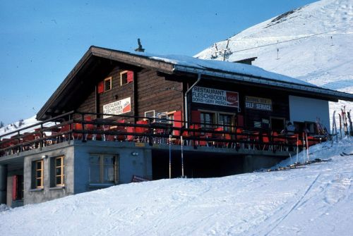 Rosswald, Fleschboden, März 1984
