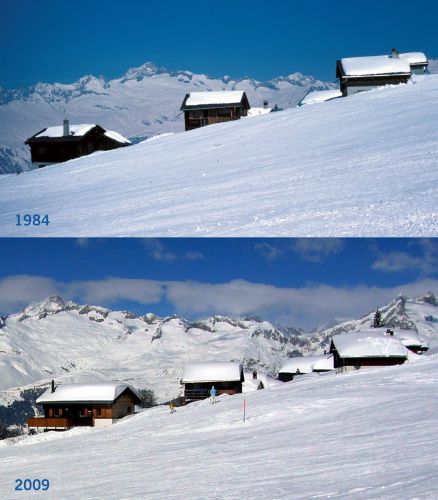 Vergleich Rosswald 1984-2009
