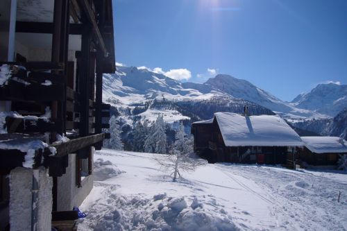 Februar 2009

