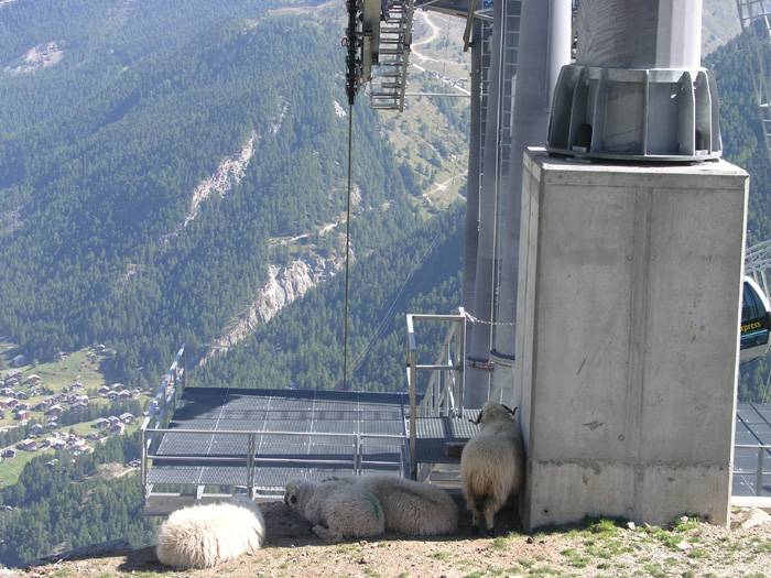 Bewohner der Mittelstation Aroleid 
