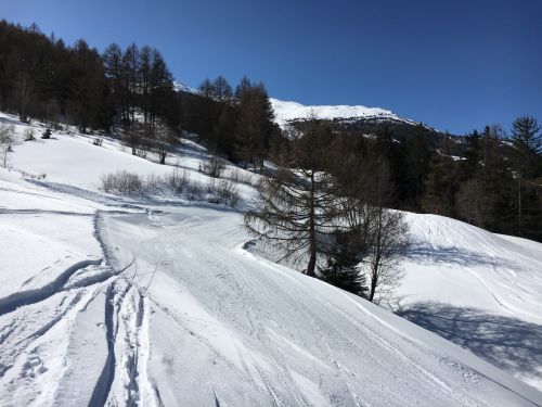 Unterbäch, 11. März 2016
