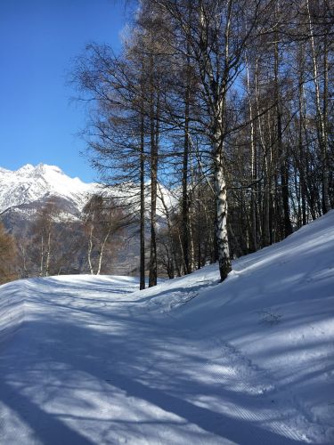 Unterbäch, 11. März 2016
