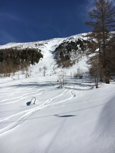 Unterbäch, 11. März 2016
