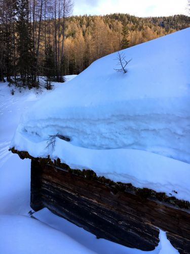 Unterbäch, 11. März 2016
