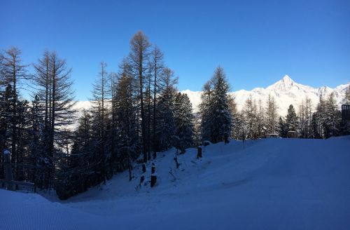 17. Januar 2017
