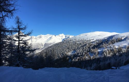 17. Januar 2017
