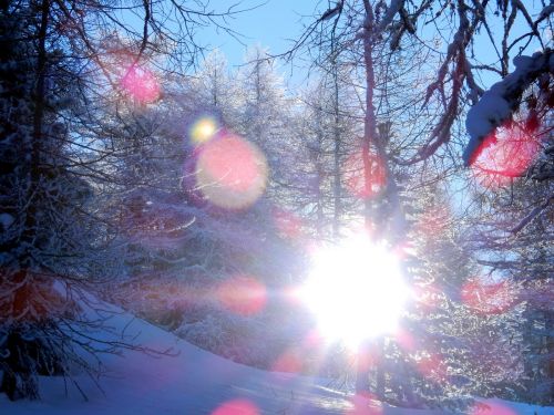 17. Januar 2017
