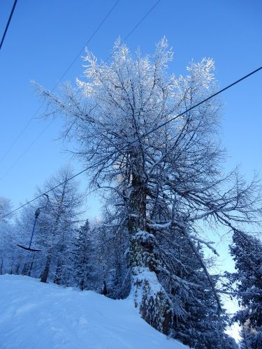 20170117-visperterminen-057.jpg