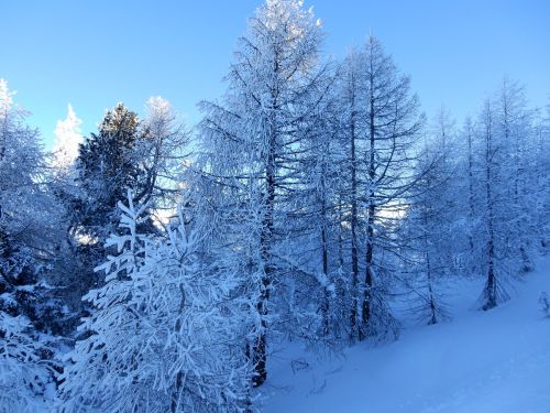 20170117-visperterminen-069.jpg