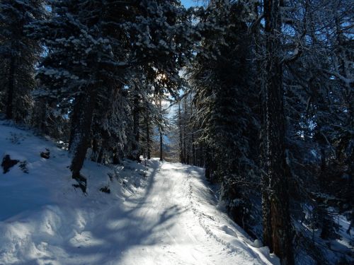 20170117-visperterminen-150.jpg