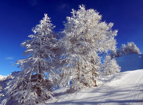 20170117-visperterminen-175.jpg