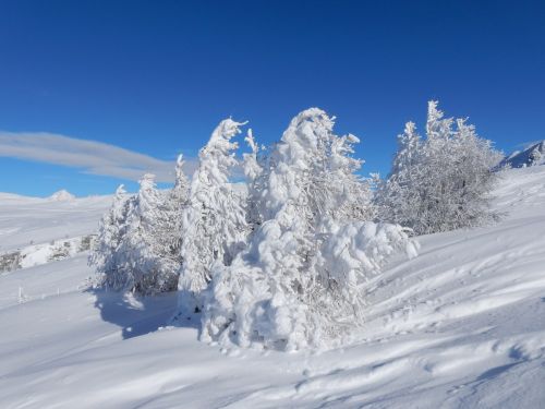 20170117-visperterminen-192.jpg